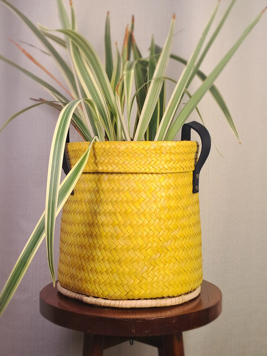 Yellow Planter Basket