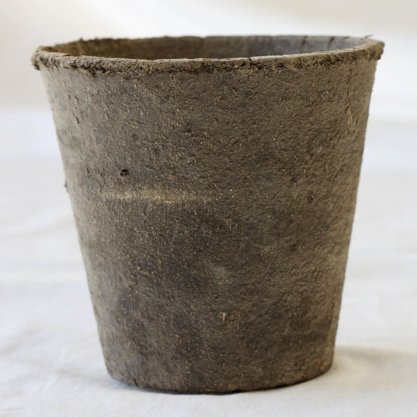 close up of compostable pot