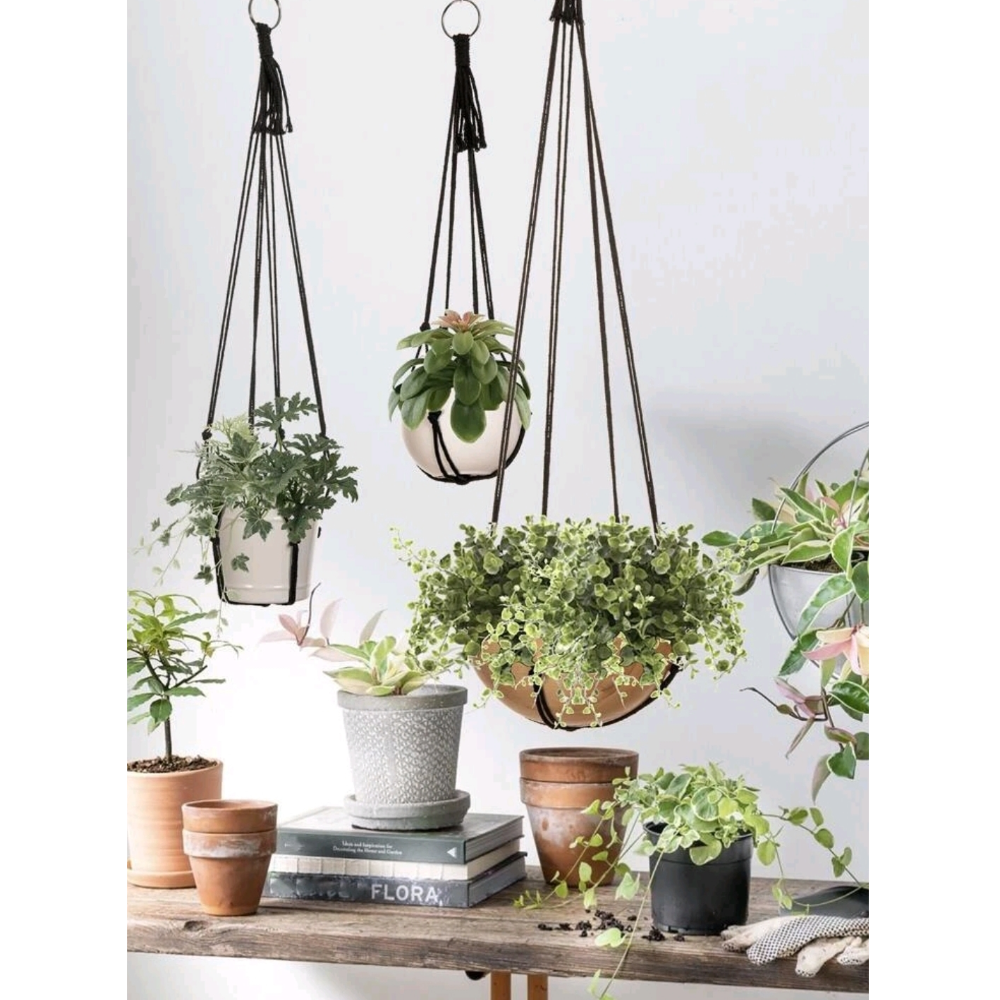 Plant Hanger