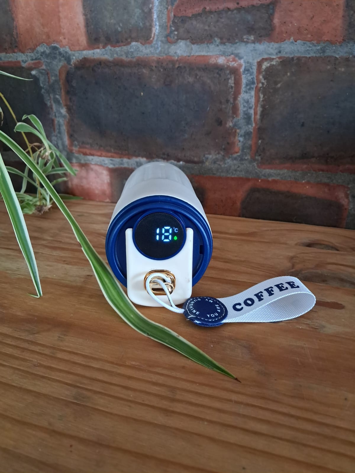 Temperature Display Mug - Navy